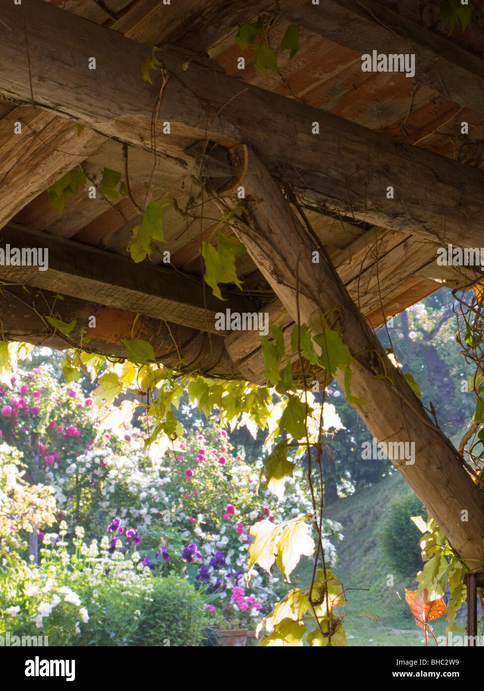 La Travesina, Piedmont, Italy. Late afternoon sun in the sheltered pergola area Stock Photo