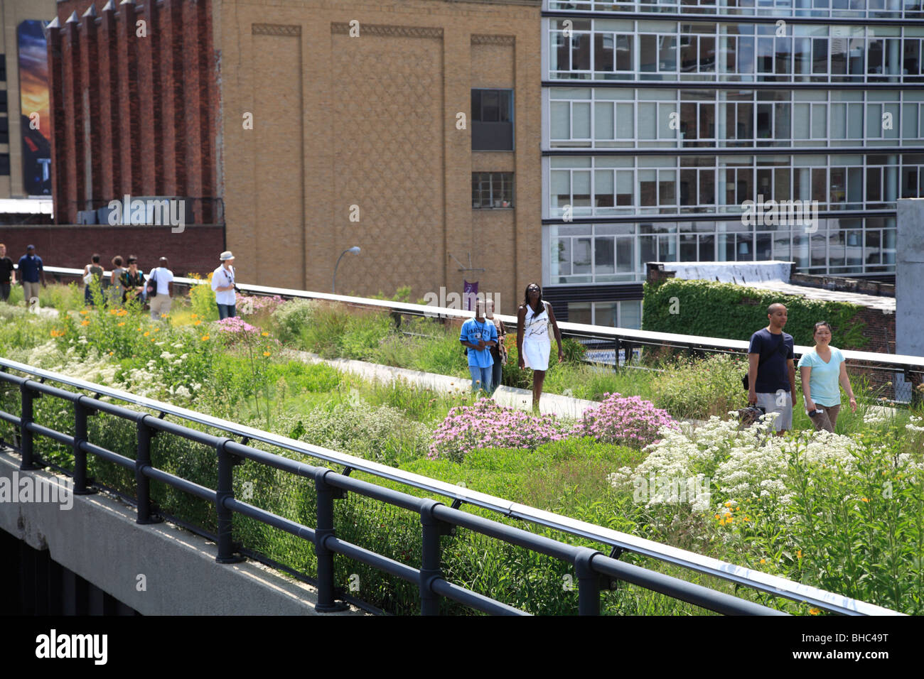 highline elevated park new york city