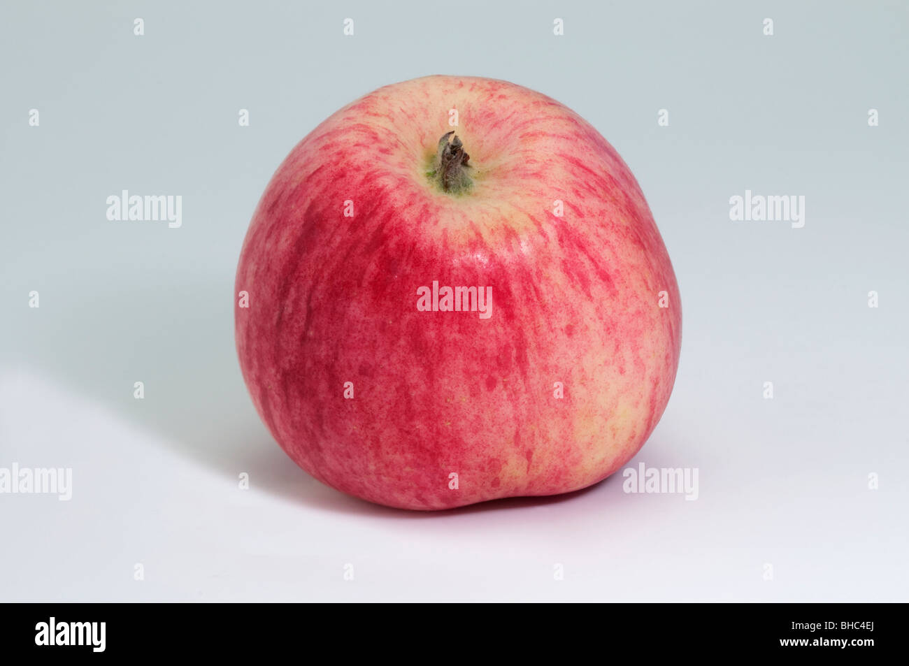 Domestic Apple (Malus domestica), variety: Piros, apple, studio picture. Stock Photo