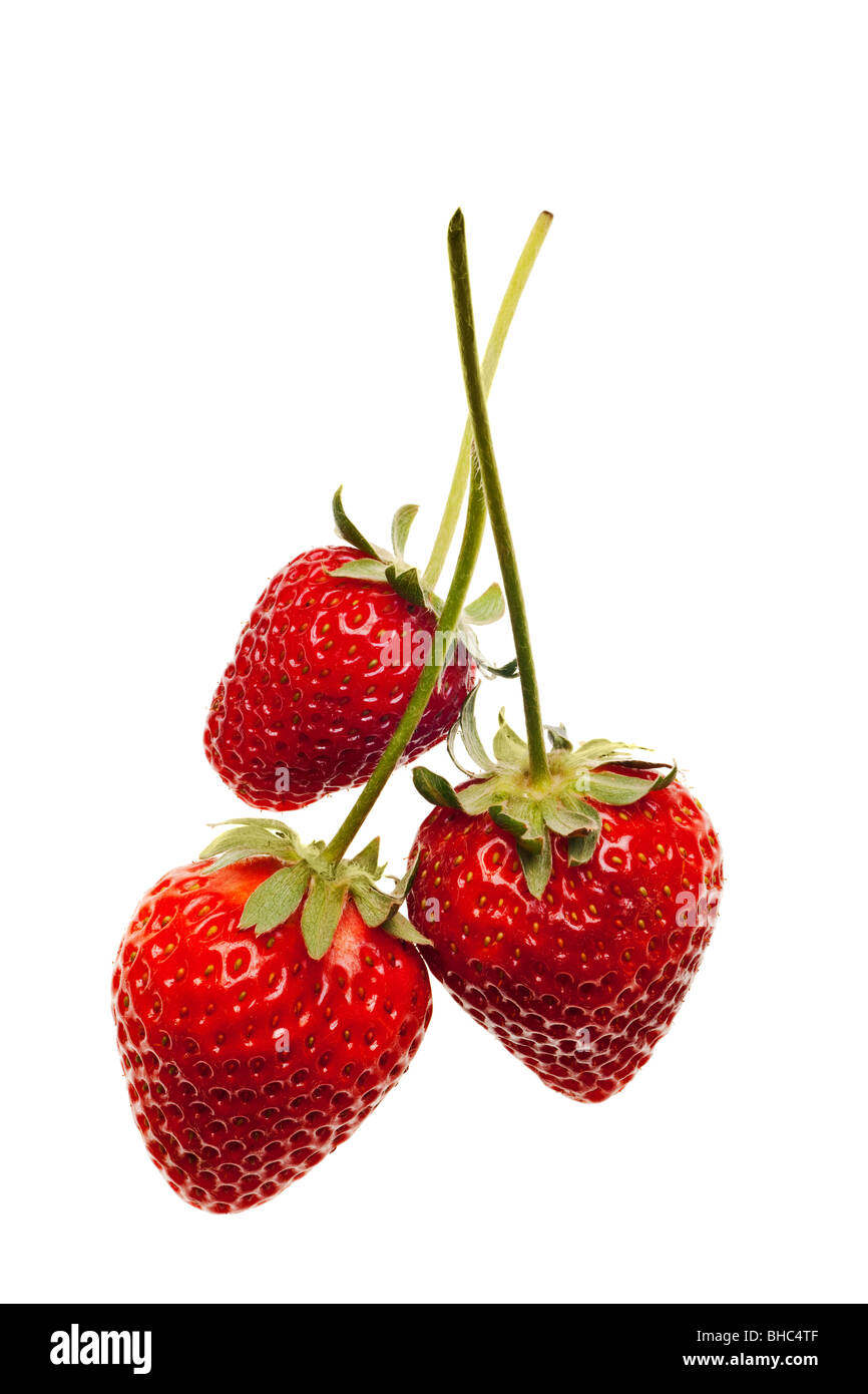 ripe red strawberries with stems and leaves isolated on white ...