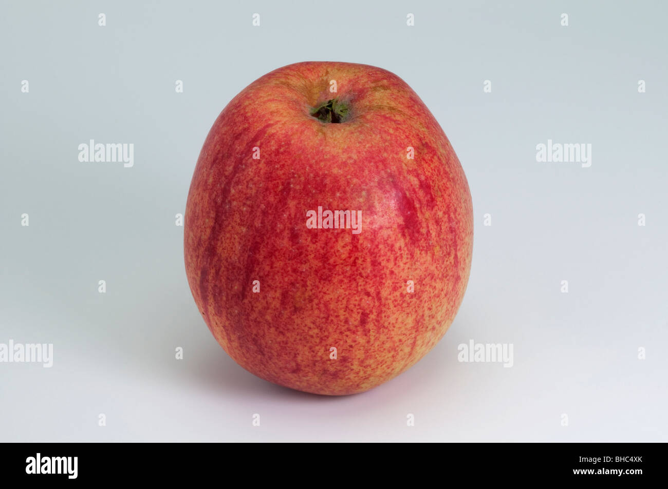 Domestic Apple (Malus domestica), variety: Prinzenapfel, apple, studio picture. Stock Photo