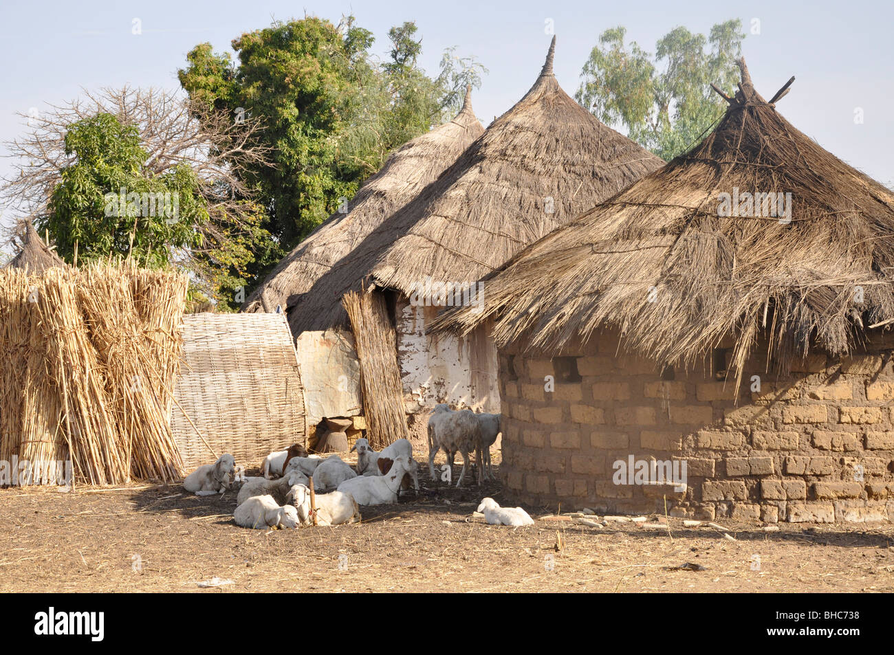 Most people live in the countryside in The Gambia Stock Photo Alamy