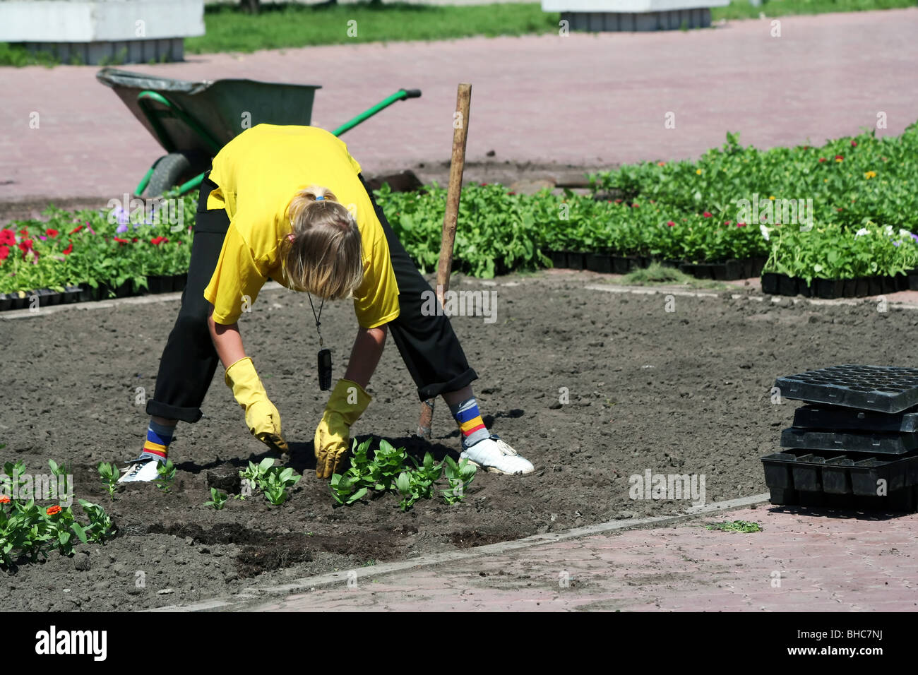 Young woman planting flowers on a city park Stock Photo - Alamy