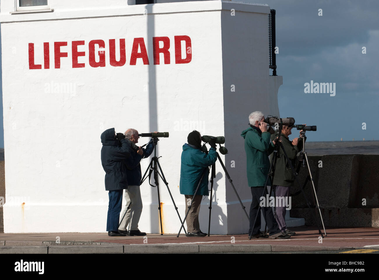 Group of Twitchers Birdwatchers with spotting scopes Stock Photo