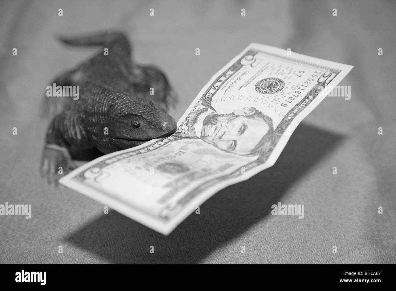 Wooden komodo dragon lizard souvenir carving biting US five dollar bill currency bank note in it's mouth Stock Photo