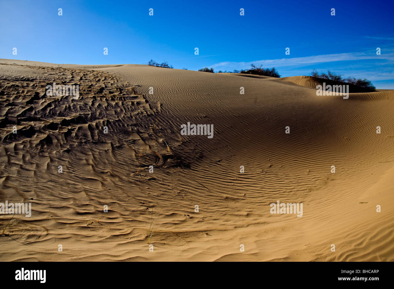 Imperial Dunes near Yuma Arizona, are constantly moving sand wind blown