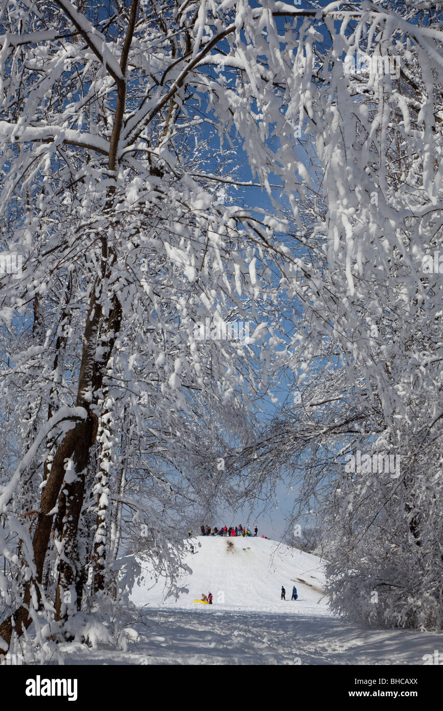 Indianapolis, Indiana Children on a sledding hill in a city park
