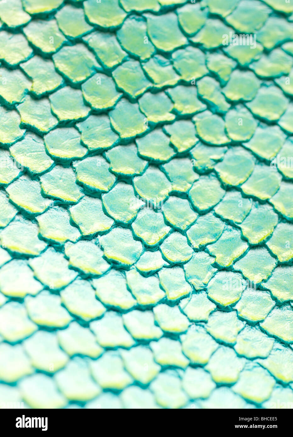 Green Snakeskin Stock Photo - Alamy