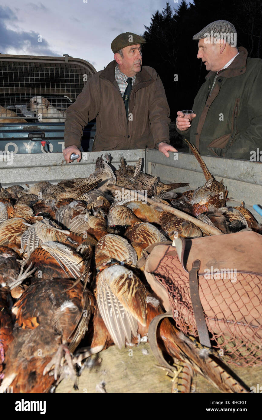 Dead birds shooting hi-res stock photography and images - Alamy