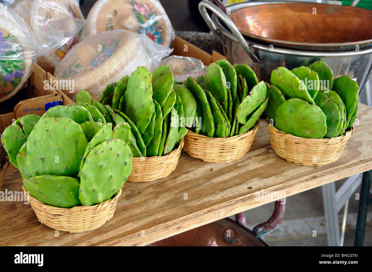 Cactus for sale on Mexican market Stock Photo