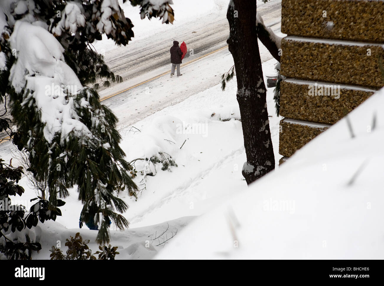 Washington DC snow scenes.  Stock Photo