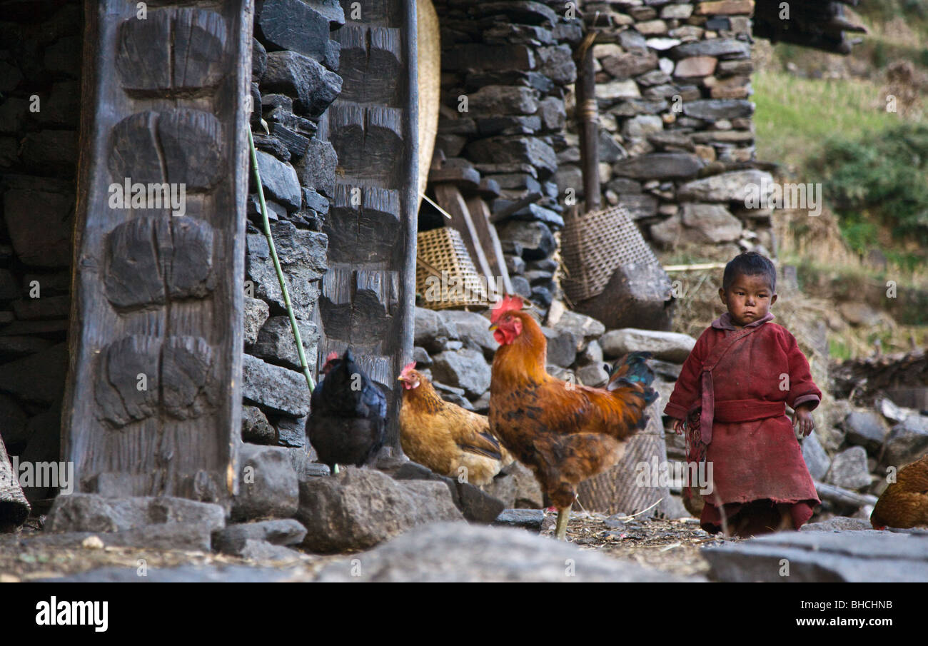 CHICKENS and a NEPALI boy in the village of BIHI AROUND MANASLU TREK