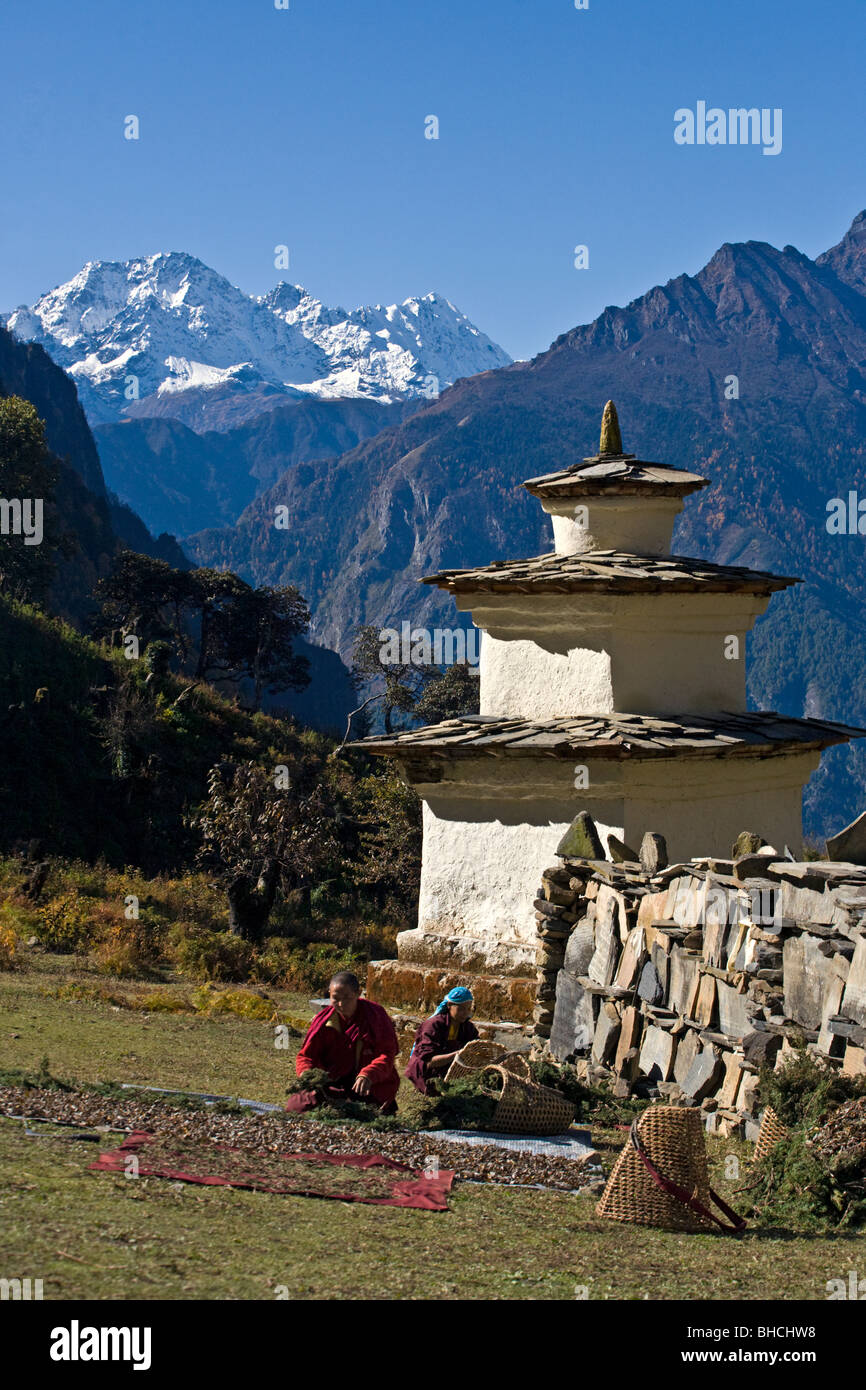 Nuns dry juniper branches near a chorten and mani wall at a remote TIBETAN BUDDHIST MONASTERY - NEPAL HIMALAYA Stock Photo