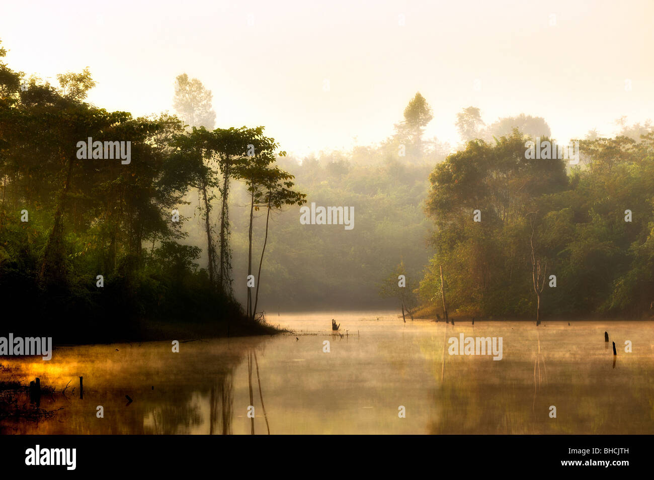 Laos, the province Vientian, Nam Lik ecological village, a lake near the village in the jungle Stock Photo