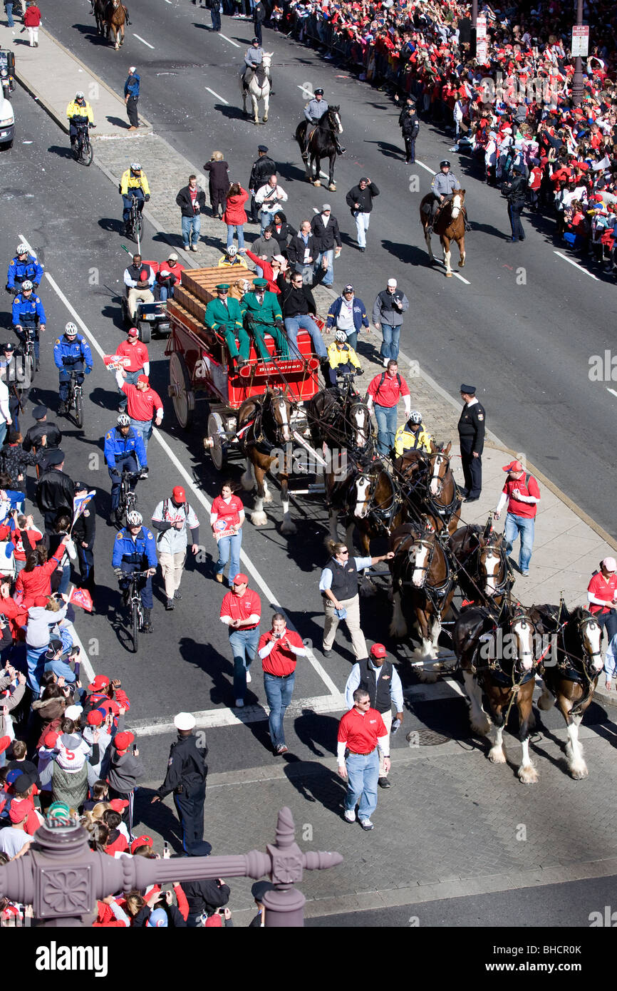 Budweiser horse drawn wagon, Phillies World Series victory October 31, 2008 with parade down Broad Street Philadelphia, PA Stock Photo