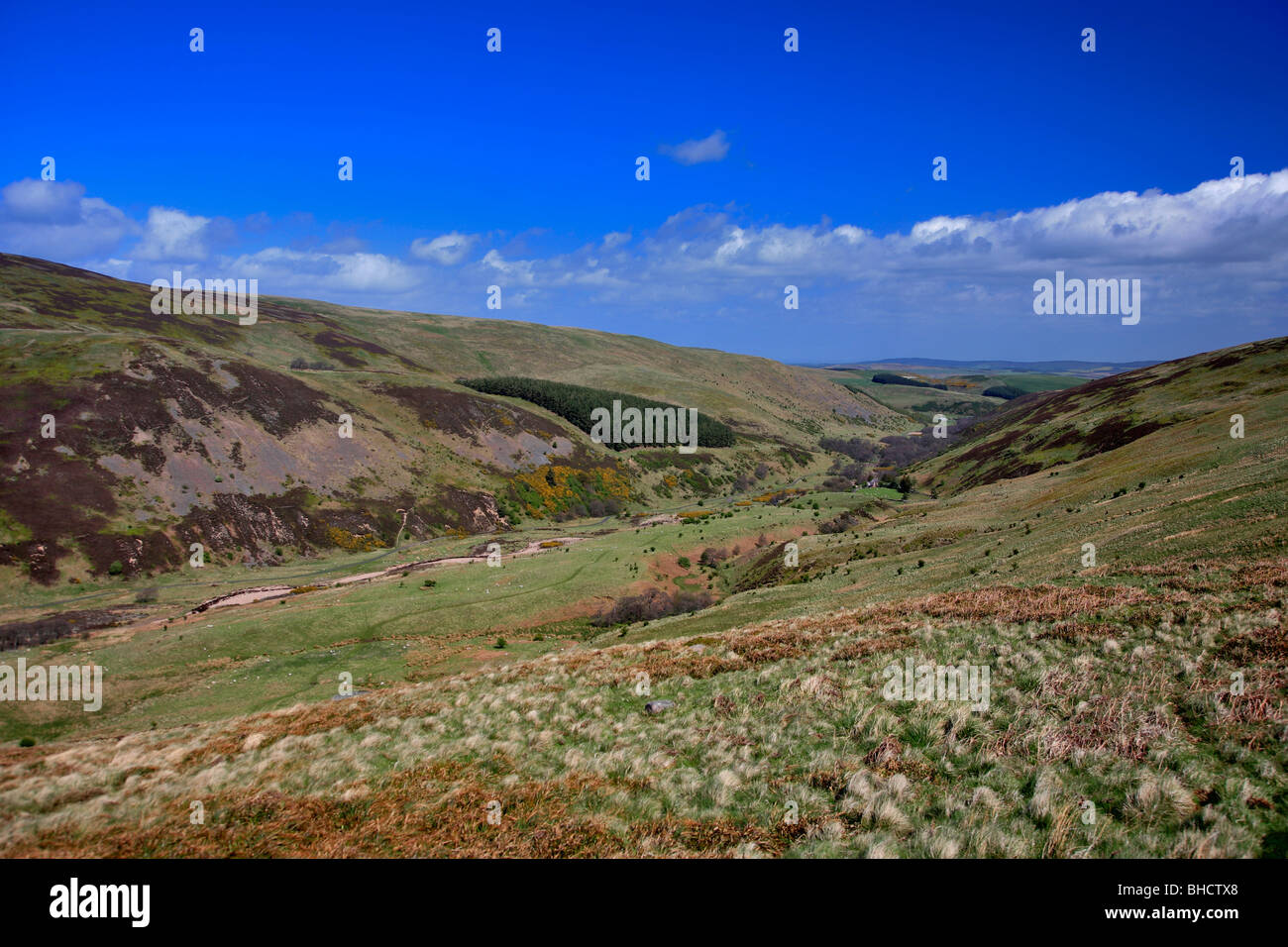 Cheviot Hills North Northumbria England Borders Stock Photo Alamy