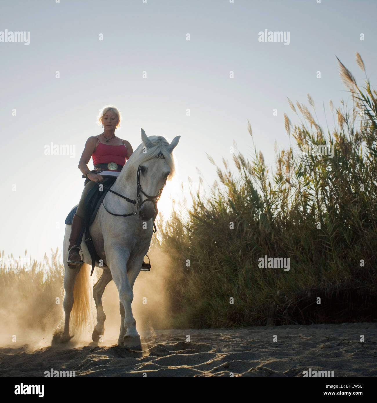Woman riding horse on the beach Stock Photo