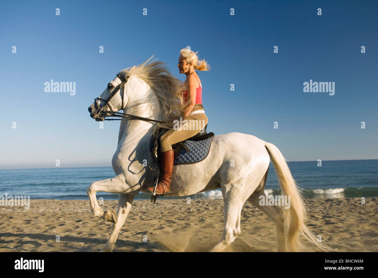 Woman riding horse on the beach Stock Photo