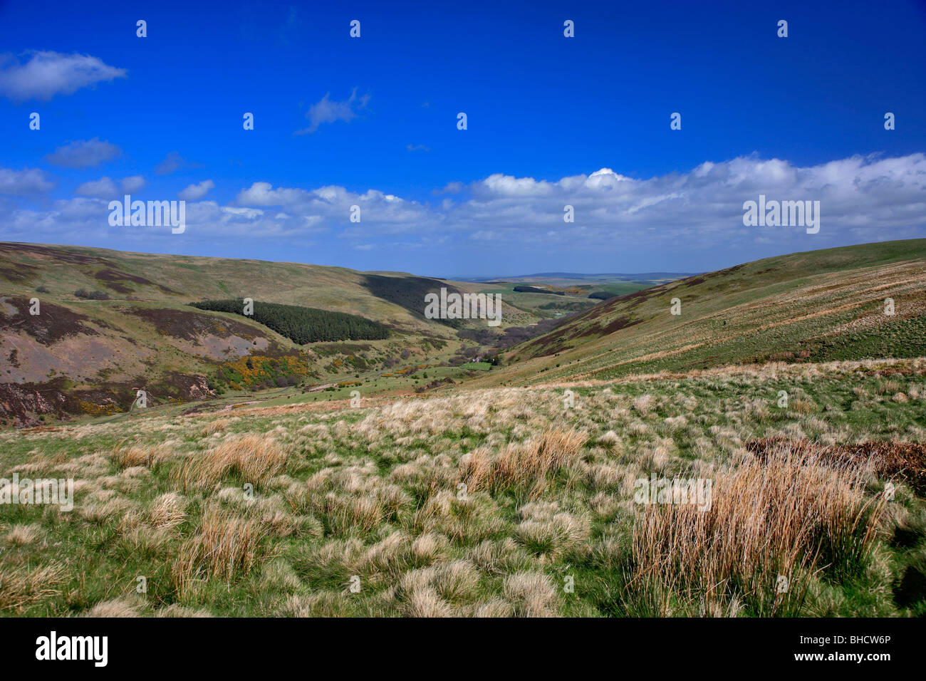Cheviot Hills North Northumbria England Borders Stock Photo Alamy