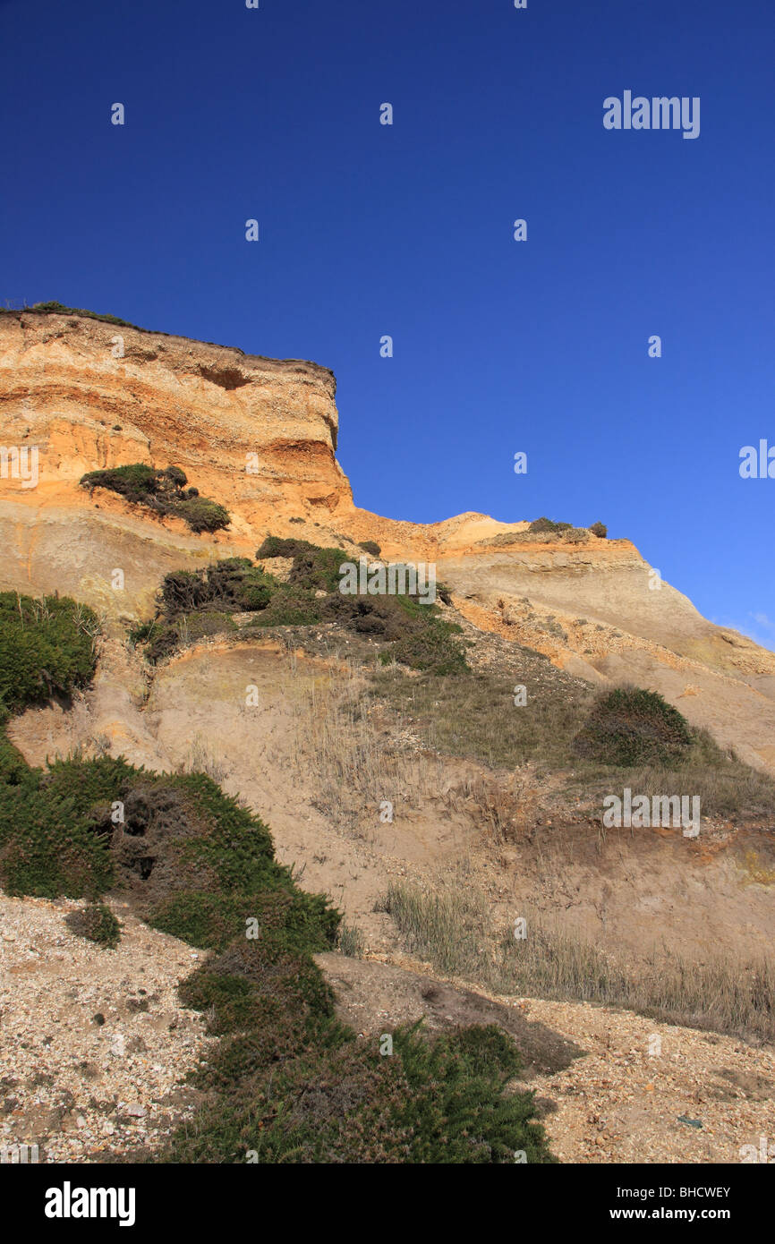 Clay and gravel cliffs at Barton on Sea, Hampshire Stock Photo Alamy