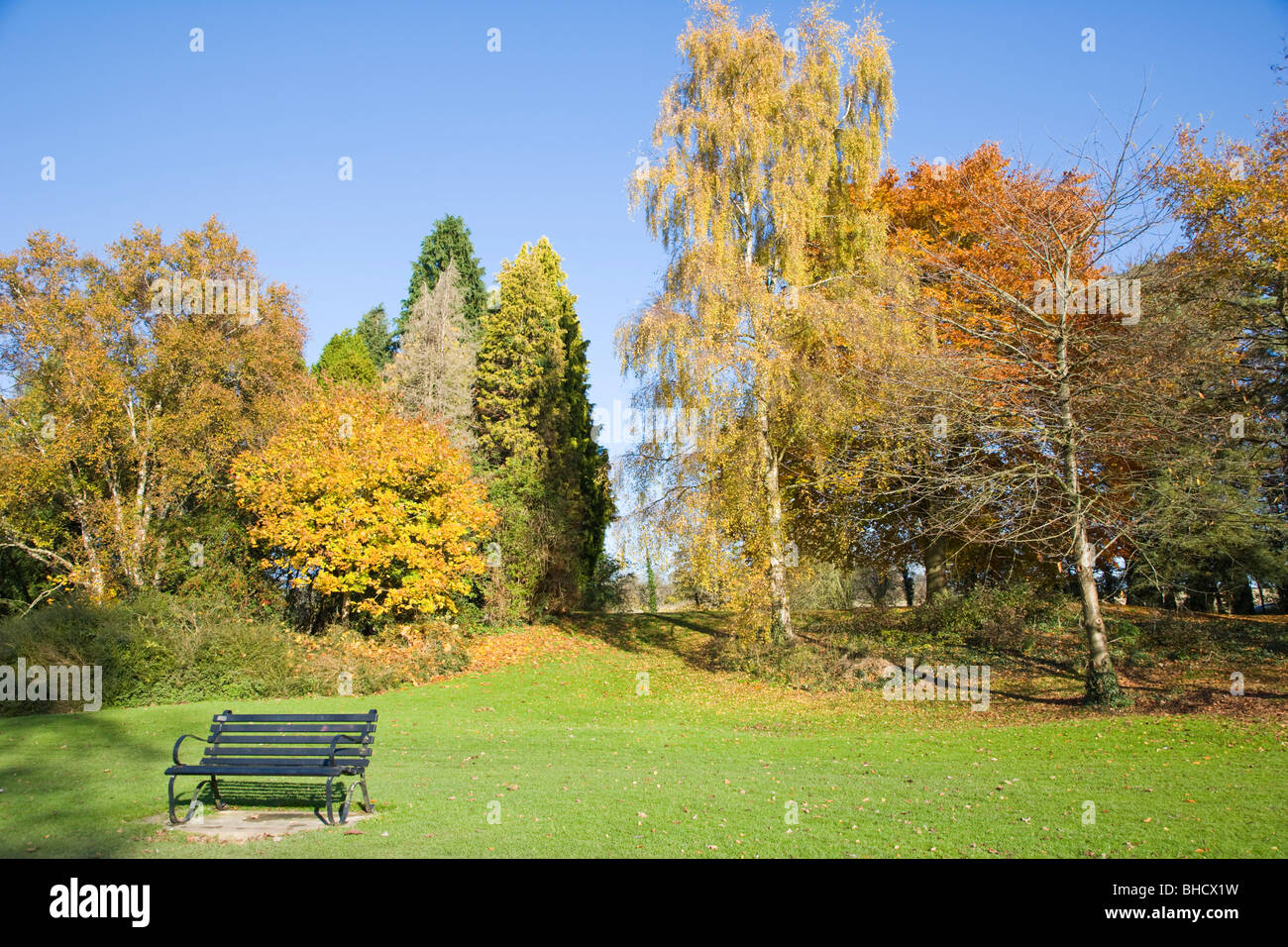 Cirencester park autumn hires stock photography and images Alamy