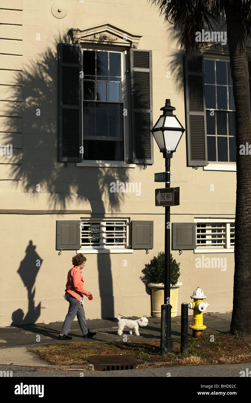 Walking the Dog, East Battery, Charleston, South Carolina, USA Stock Photo