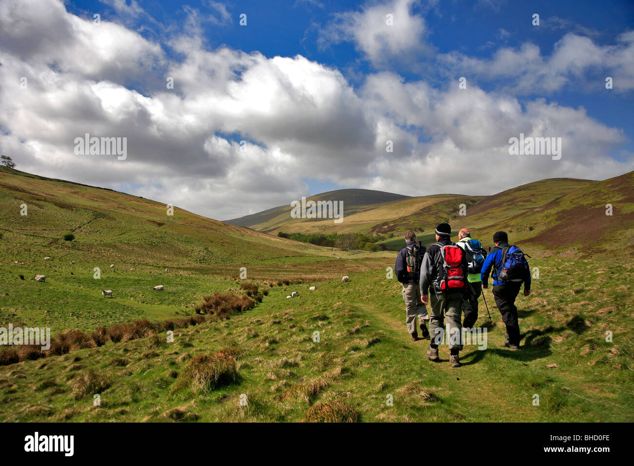 Male Walkers in Landscape Cheviot Hills Northumbria National Park