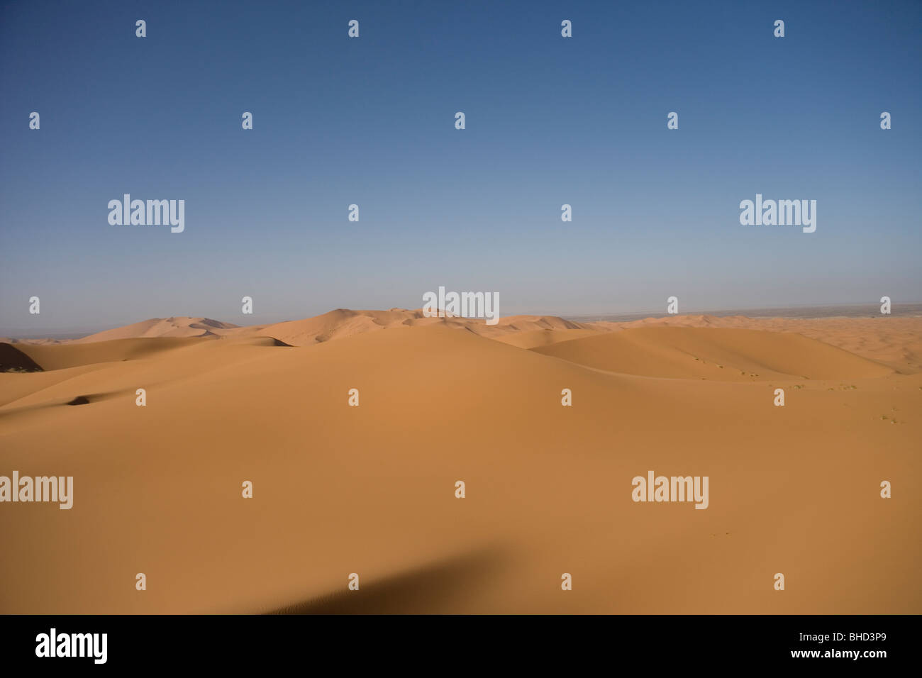 The sand dunes at Erg Chebbi in the Sahara Desert in Morocco Stock ...