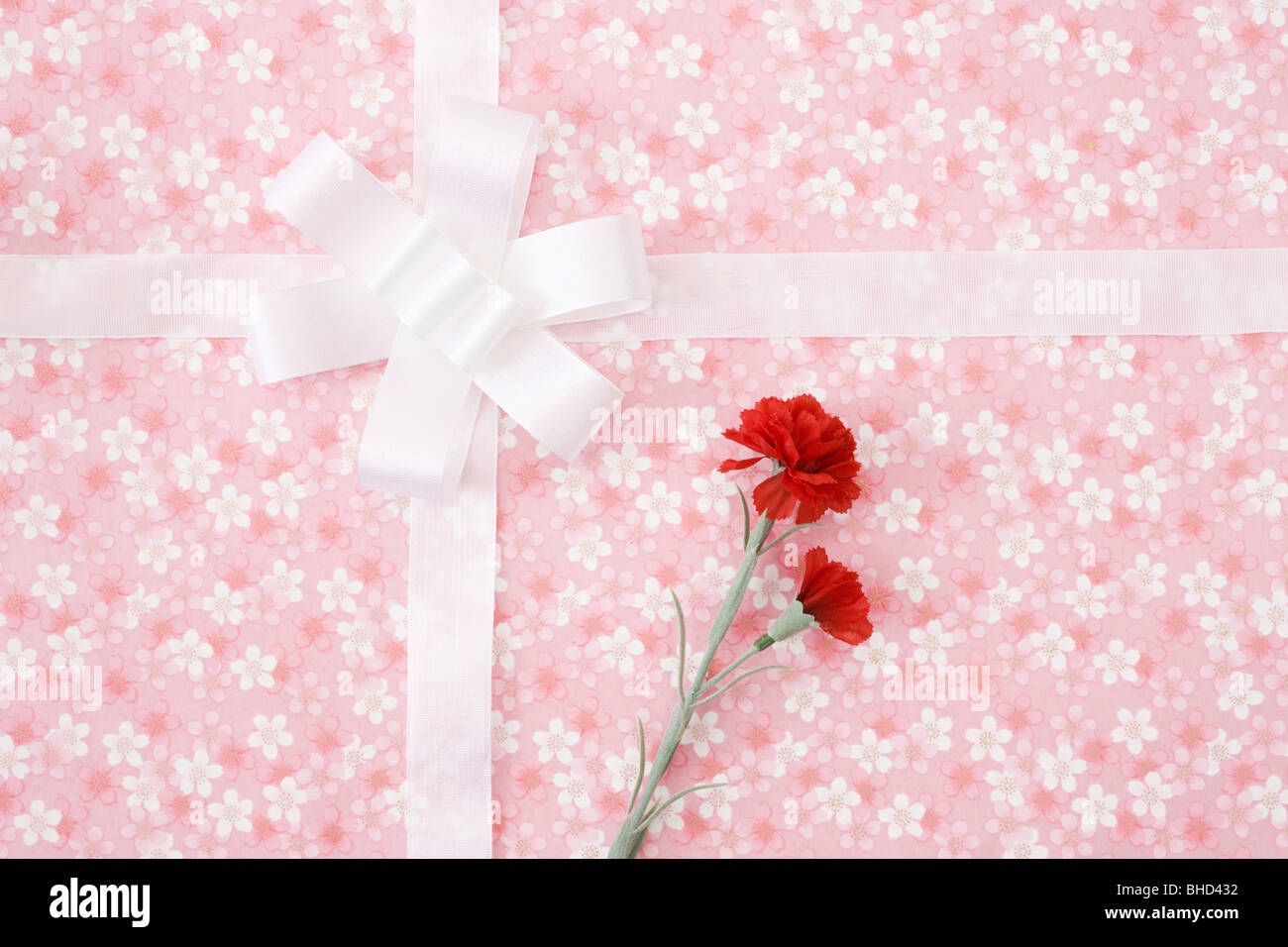 Carnation on gift Stock Photo