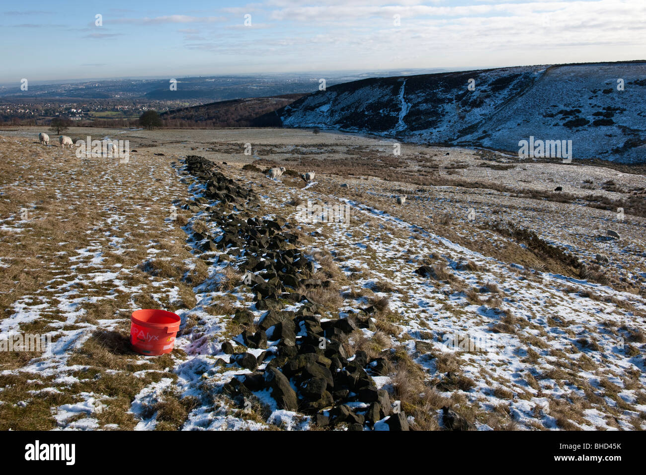 Red tub of Winter vitamin supplements for sheep and lambs in moorland fields at Totley Moor Stock Photo