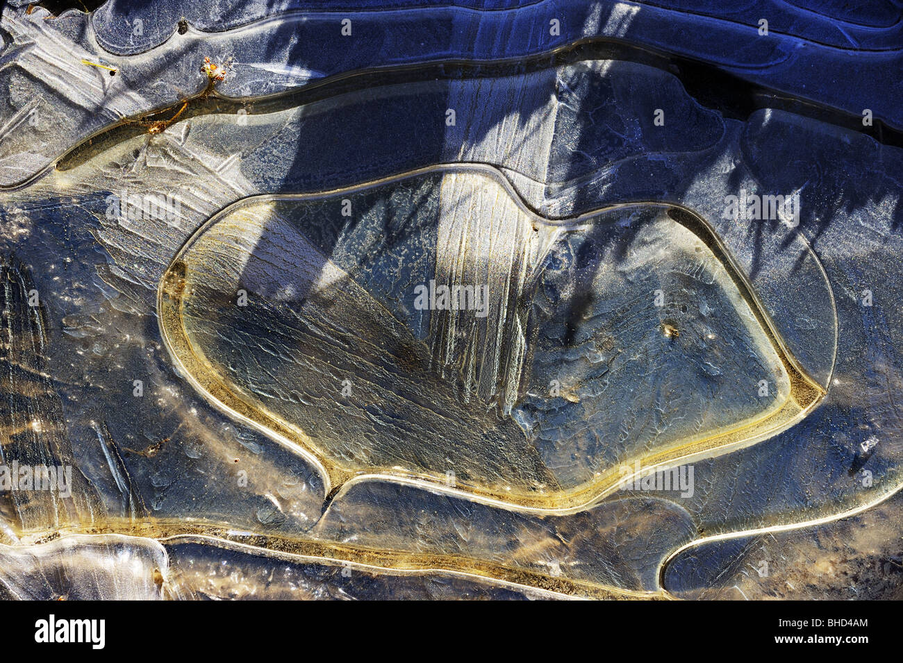 Ice on puddle on countryside track on a cold Winter morning Stock Photo