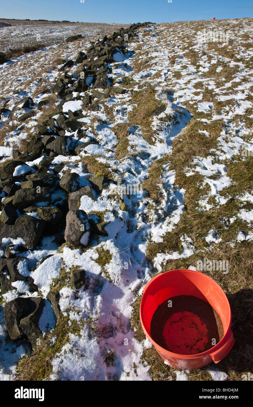 Red tub of Winter vitamin supplements for sheep and lambs in moorland fields at Totley Moor Stock Photo
