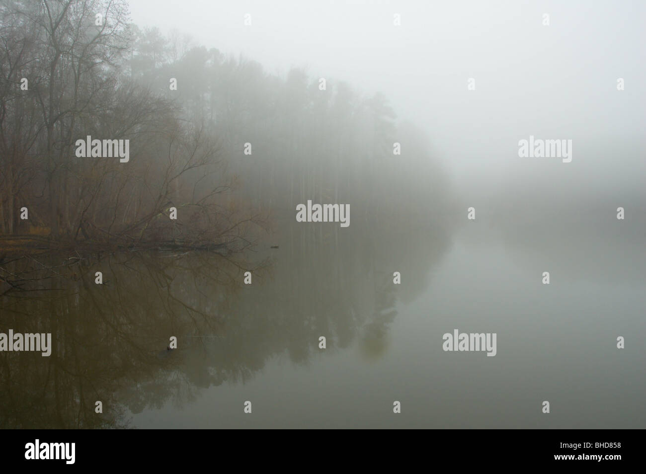 Foggy January morning in North Carolina Stock Photo