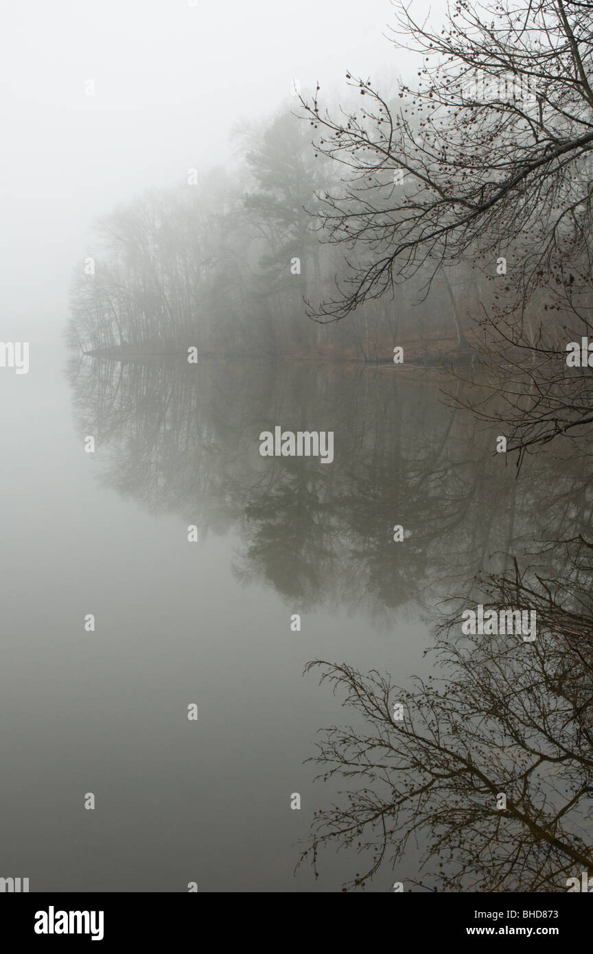 Foggy January morning in North Carolina Stock Photo