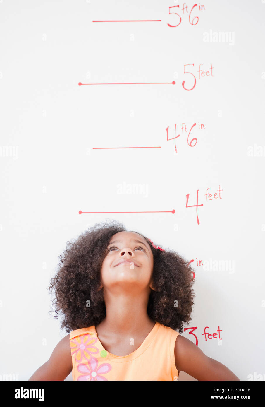 Height chart in feet Stock Vector