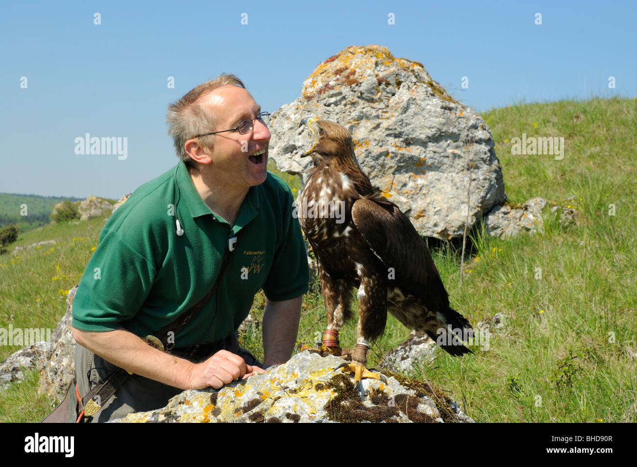 Falkner mit jungem Steinadler (Aquila chrysaetos) Falconer with young Golden Eagle • Baden-Wuerttemberg; Deutschland; Germany Stock Photo