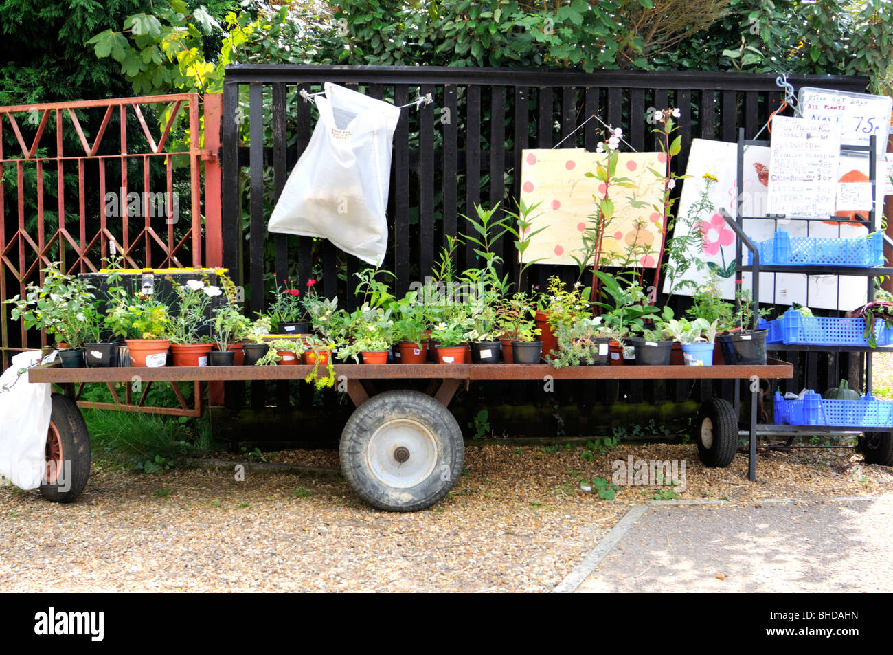 Plant sale uk hires stock photography and images Alamy