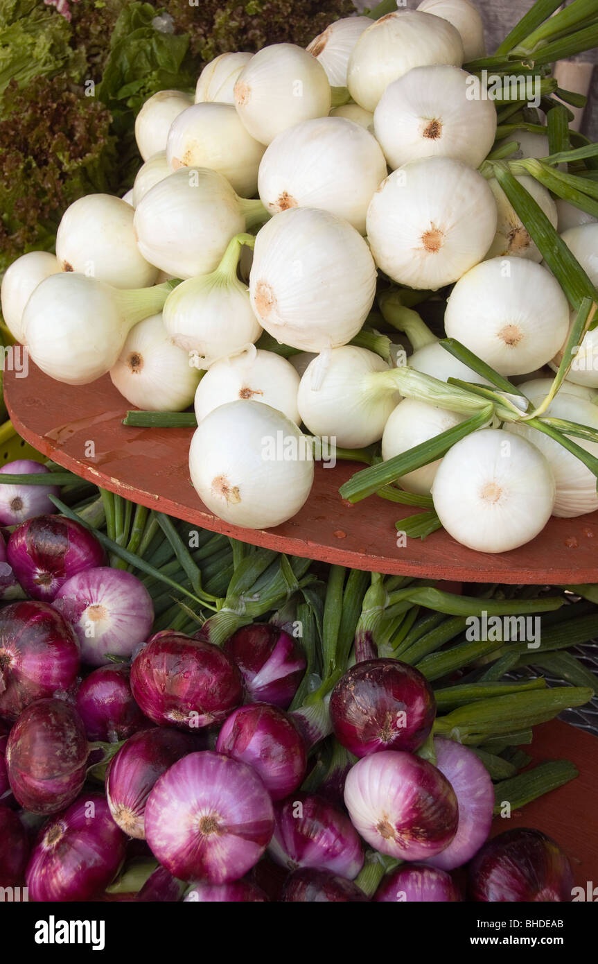 A display of white and red onions at a farmers market in beaverton ...