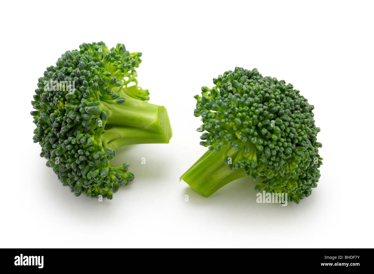 Raw Broccoli Stock Photo