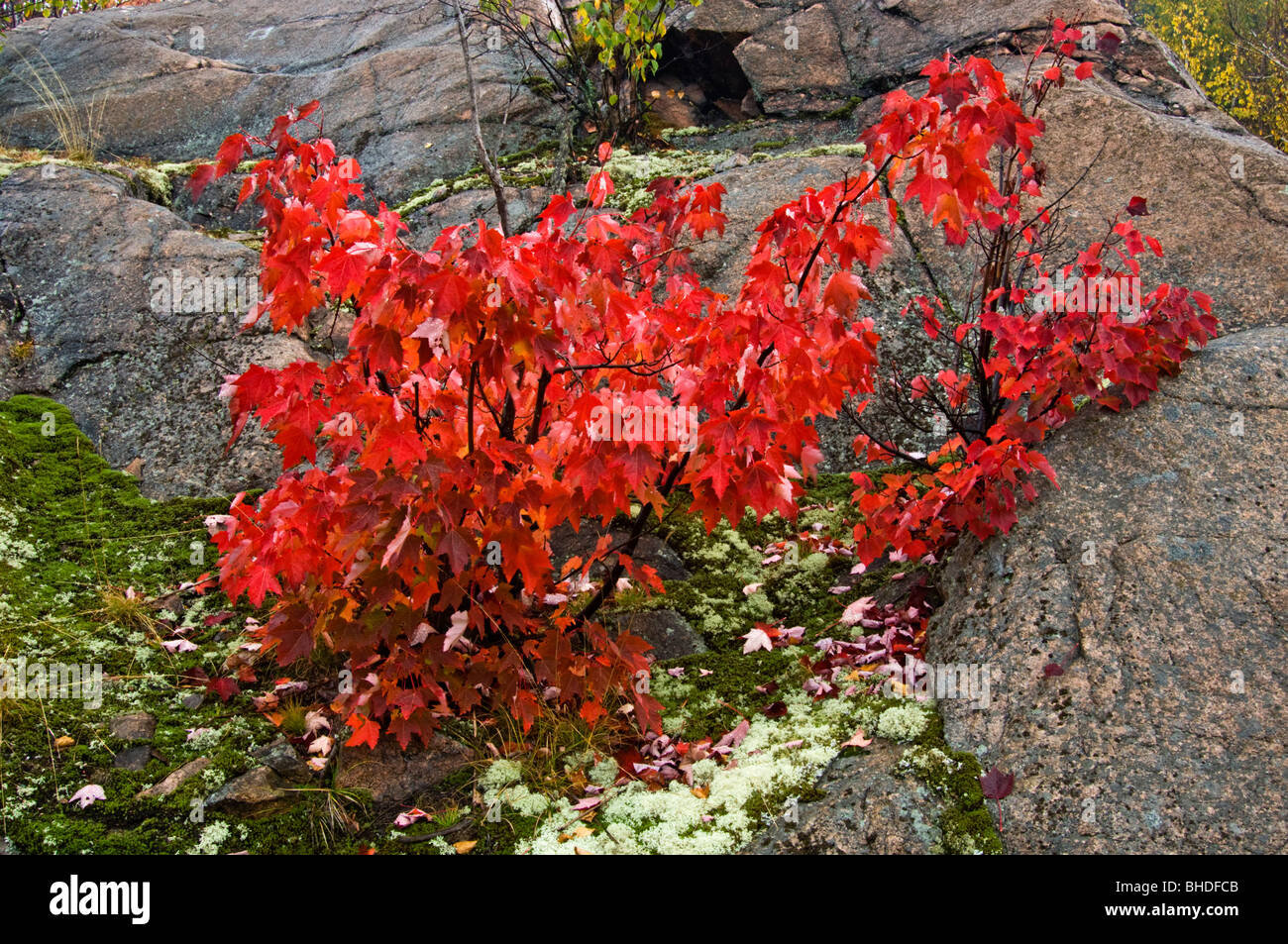 Elliot rock wilderness fall hi-res stock photography and images - Alamy