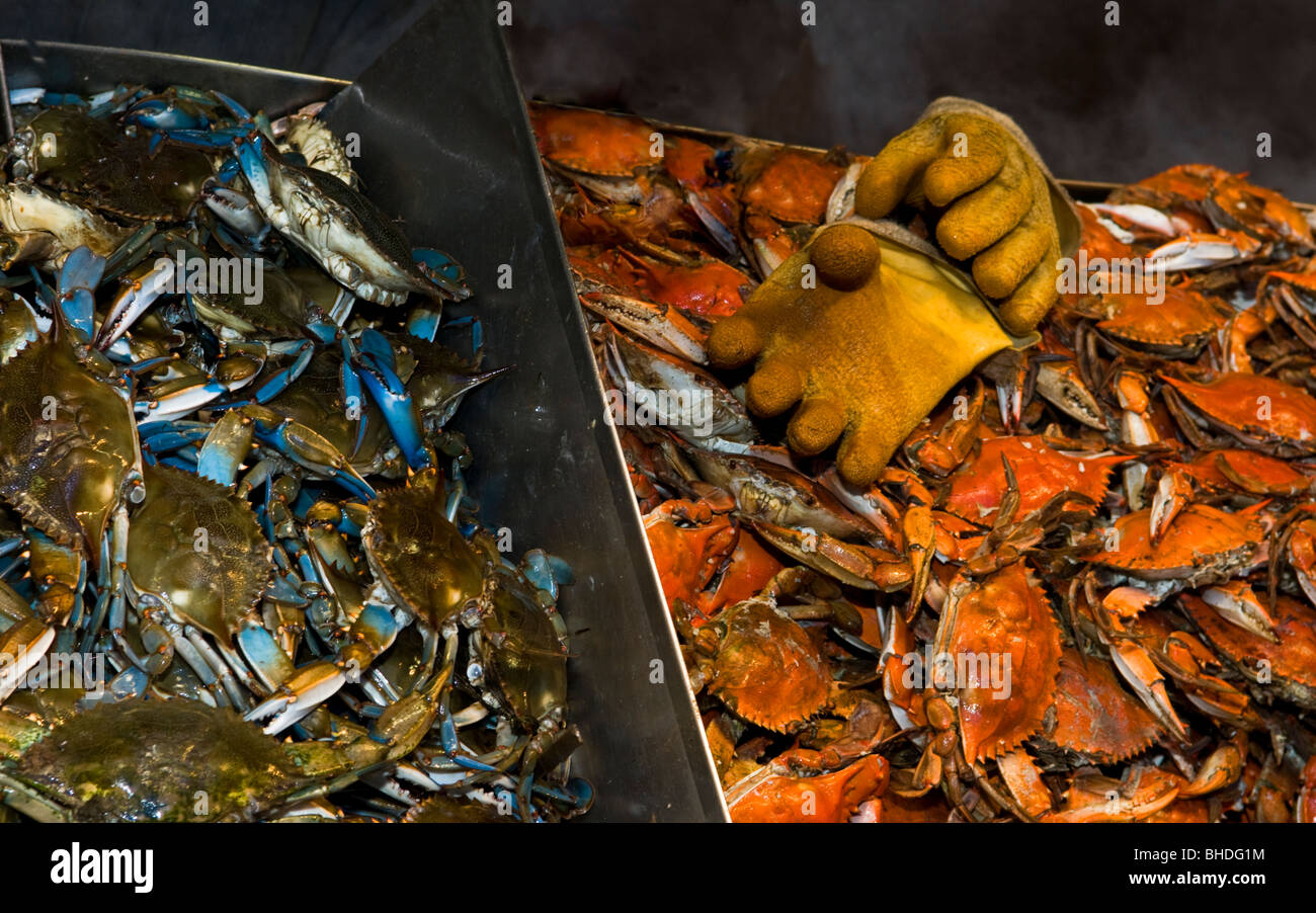 Blue Crabs live and cooked on display at the wharf a waterfront seafood stand on Maine Avenue in Washington DC. Stock Photo