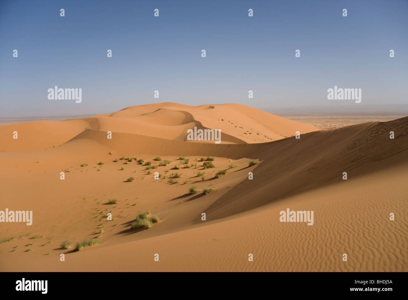 The sand dunes at Erg Chebbi in the Sahara Desert in Morocco Stock ...