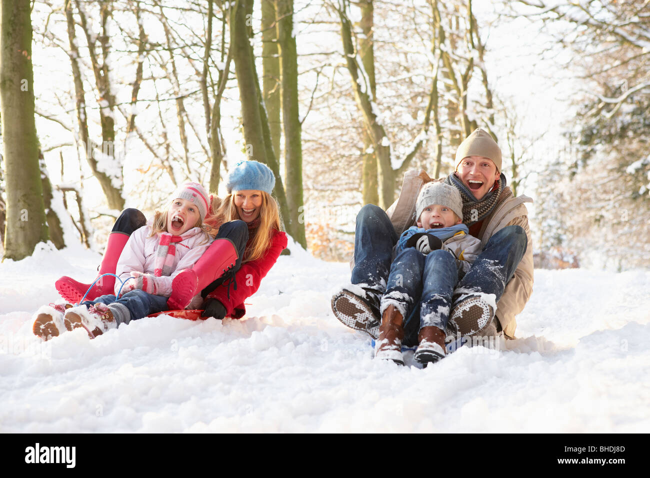 Family Sledging Through Snowy Woodland Stock Photo