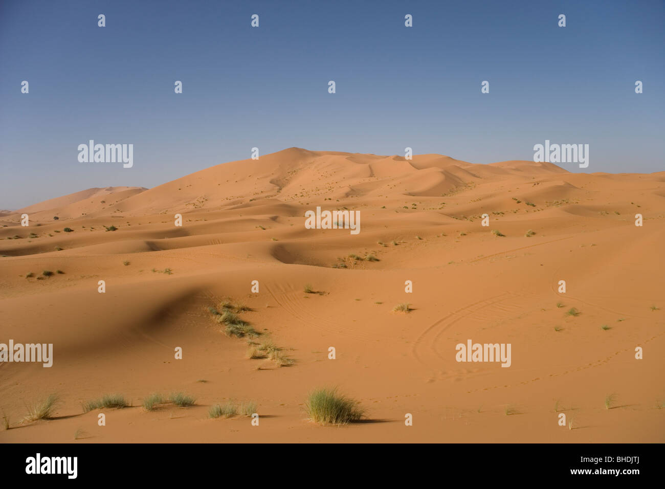 The sand dunes at Erg Chebbi in the Sahara Desert in Morocco Stock ...