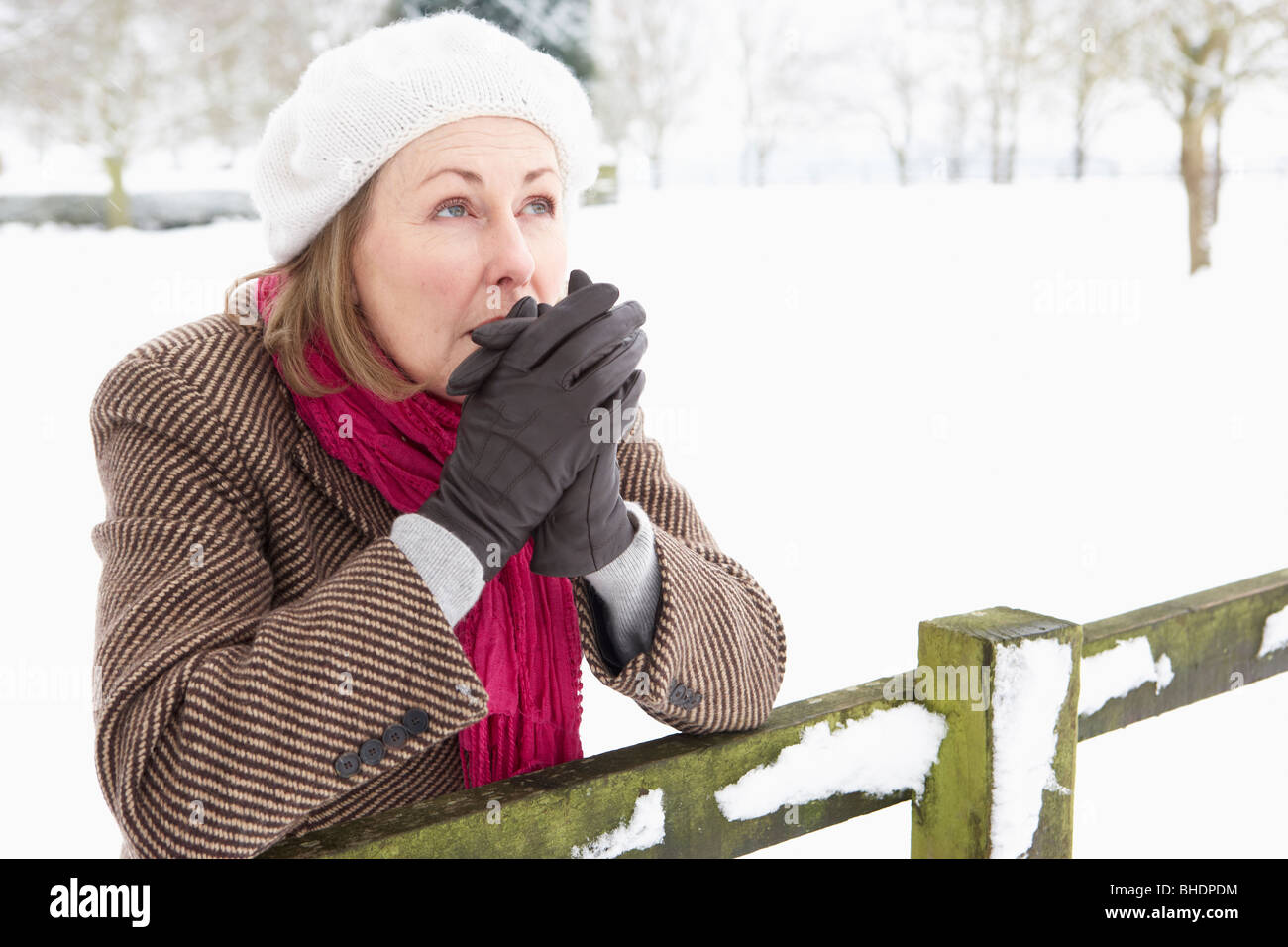 Senior Woman Standing Outside In Snowy Landscape Warming Hands Stock Photo