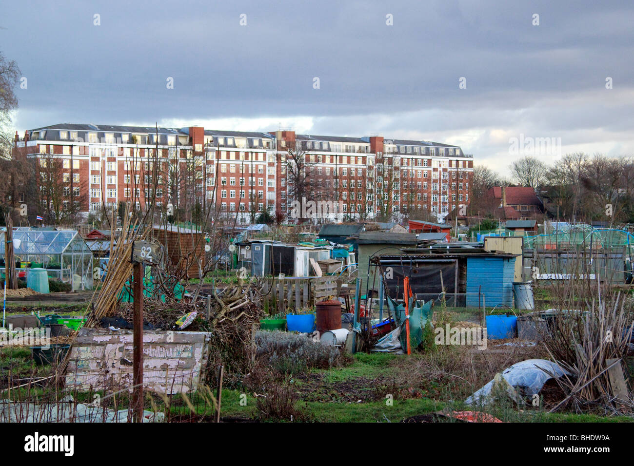 Allotments off the Fulham Palace Road, London Stock Photo