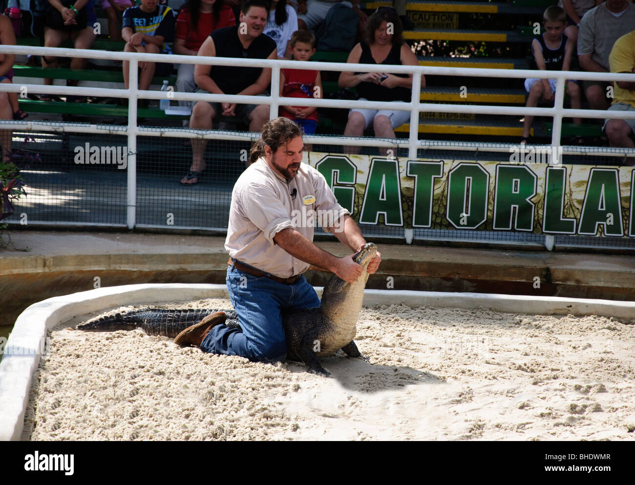 beautiful female alligator wrestler beautiful female alligator wrestler