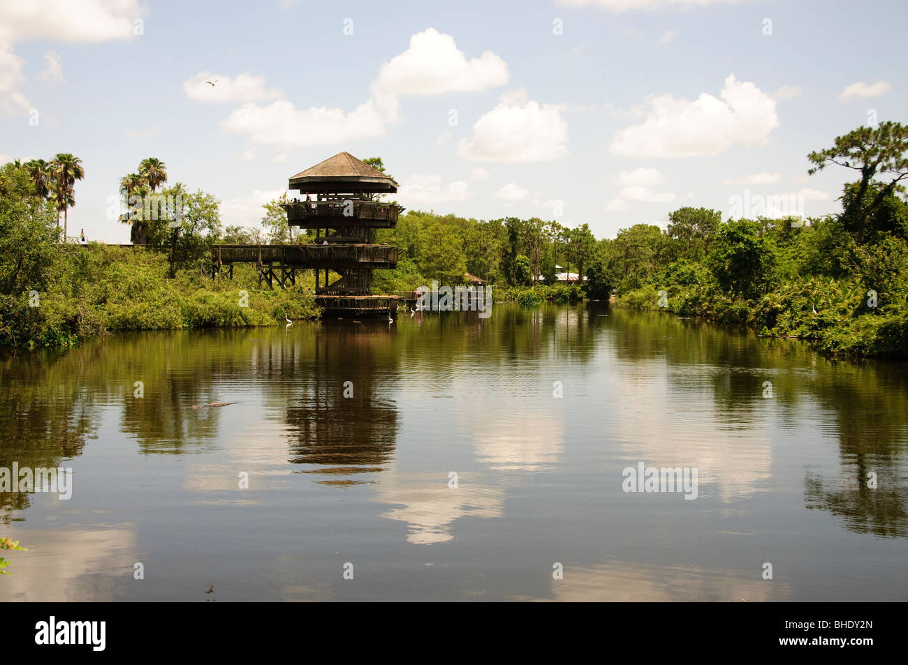 swamp look-out tower in gatorland florida FL orlando Stock Photo