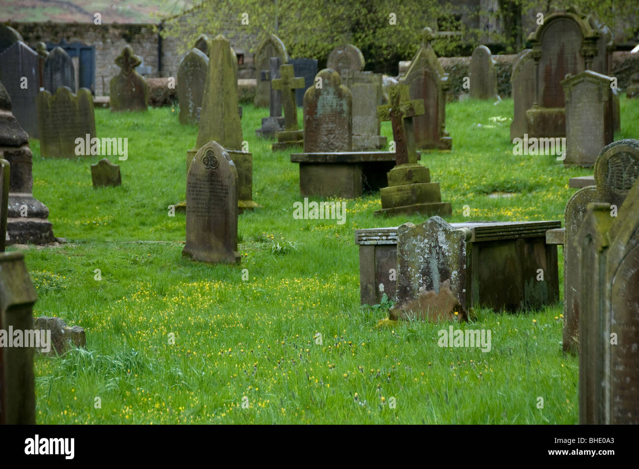 Grave Stones in Graveyard Stock Photo Alamy
