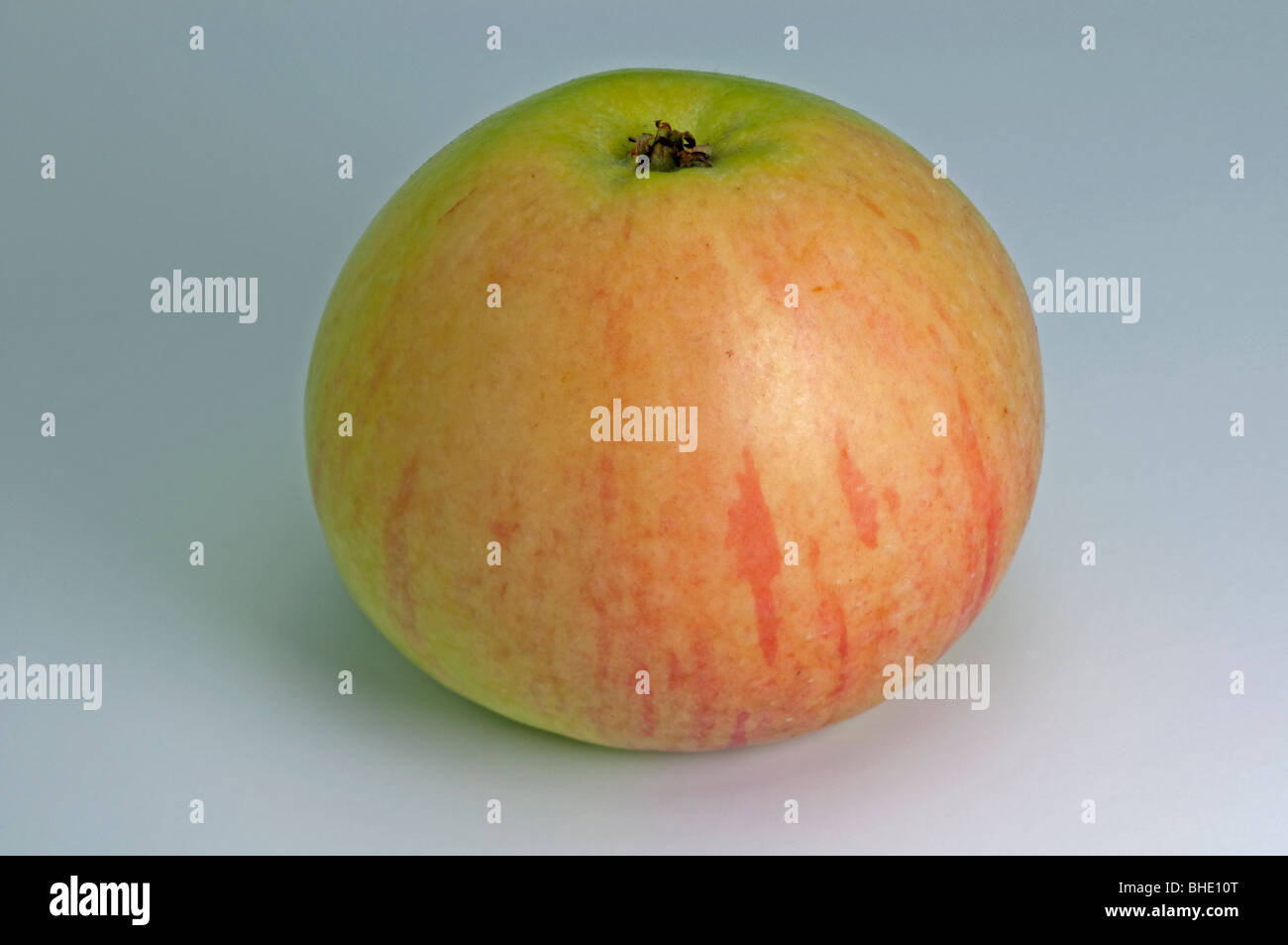 Domestic Apple (Malus domestica), variety: Wiltshire, apple, studio picture. Stock Photo